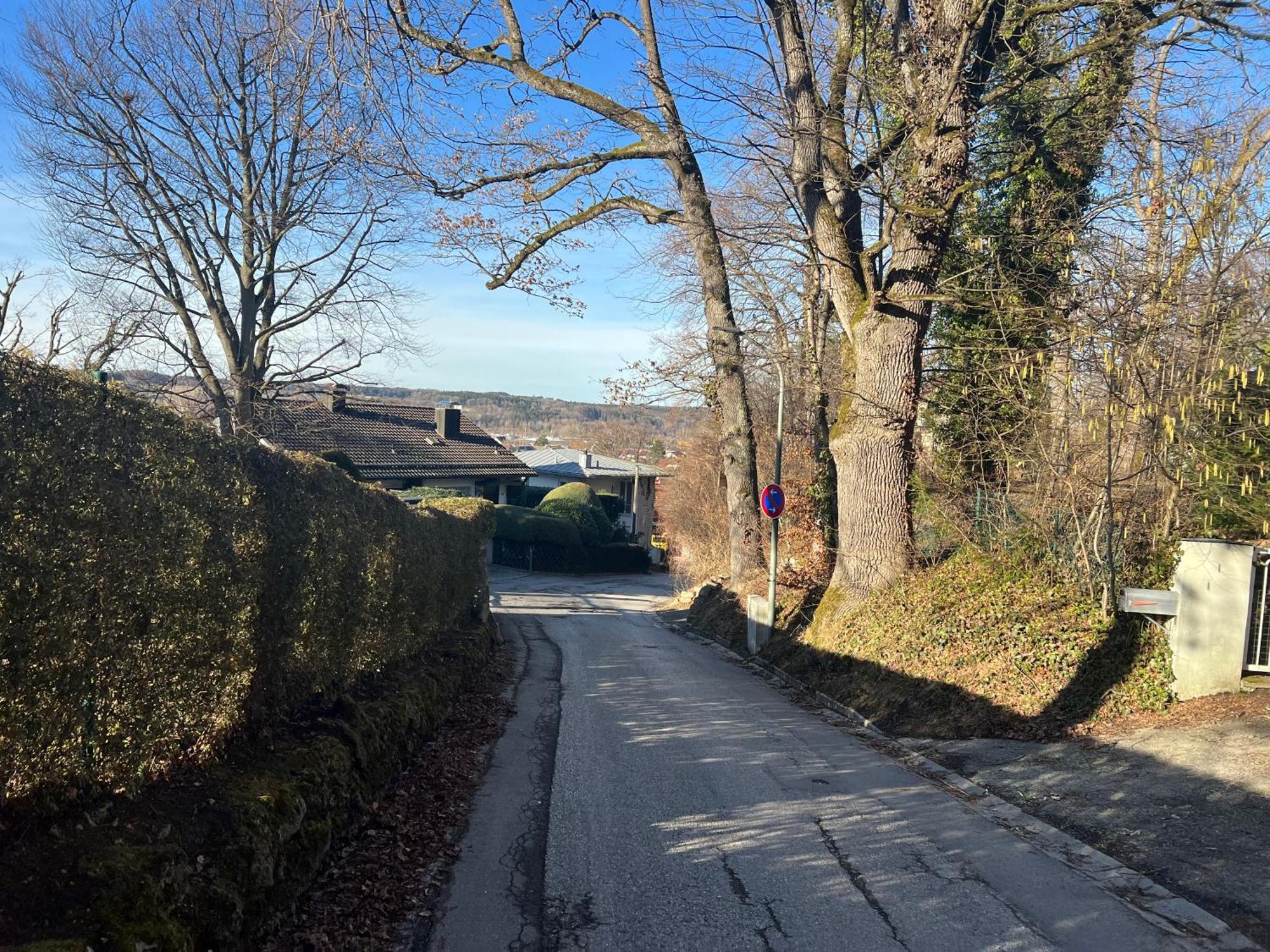 Liboria I Villa Mit Seeblick 10Min Vom See Herrsching am Ammersee Eksteriør billede